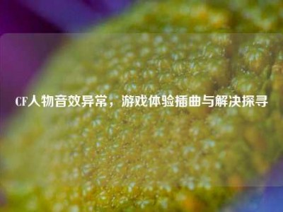 CF人物音效异常，游戏体验插曲与解决探寻
