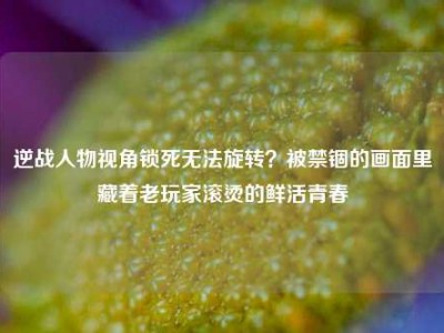 逆战人物视角锁死无法旋转？被禁锢的画面里藏着老玩家滚烫的鲜活青春