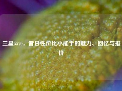 三星5570，昔日性价比小能手的魅力、回忆与报价
