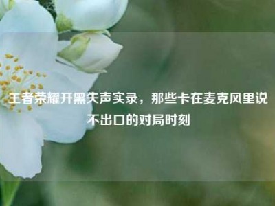 王者荣耀开黑失声实录，那些卡在麦克风里说不出口的对局时刻