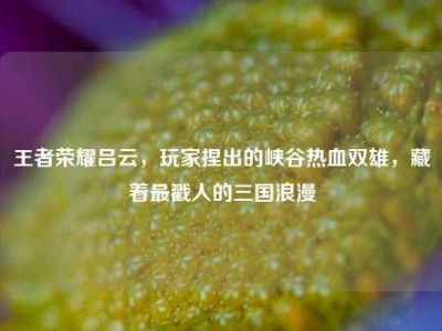 王者荣耀吕云，玩家捏出的峡谷热血双雄，藏着最戳人的三国浪漫