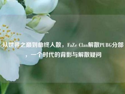 从世界之巅到曲终人散，FaZe Clan解散PUBG分部，一个时代的背影与解散疑问