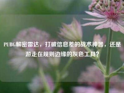PUBG解密雷达，打破信息差的战术神器，还是游走在规则边缘的灰色工具？