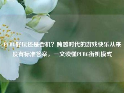 PUBG好玩还是街机？跨越时代的游戏快乐从来没有标准答案，一文读懂PUBG街机模式
