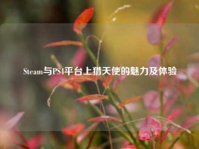 Steam与PS4平台上猎天使的魅力及体验