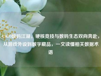 CSGO数码江湖，硬核竞技与数码生态双向奔赴，从游戏外设到数字藏品，一文读懂相关数据术语
