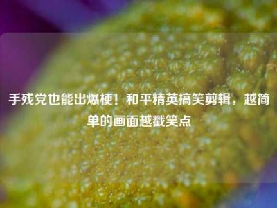 手残党也能出爆梗！和平精英搞笑剪辑，越简单的画面越戳笑点