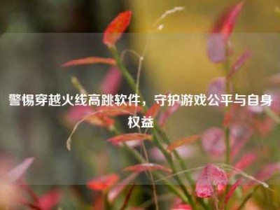 警惕穿越火线高跳软件，守护游戏公平与自身权益