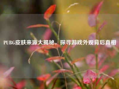 PUBG皮肤来源大揭秘，探寻游戏外观背后真相