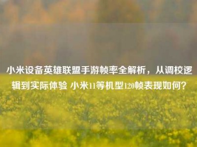 小米设备英雄联盟手游帧率全解析，从调校逻辑到实际体验 小米11等机型120帧表现如何？