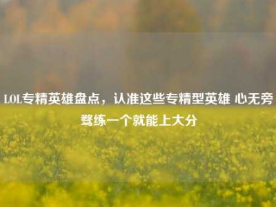 LOL专精英雄盘点，认准这些专精型英雄 心无旁骛练一个就能上大分