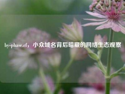 by-phase.cf，小众域名背后暗藏的网络生态观察