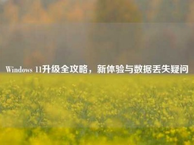Windows 11升级全攻略，新体验与数据丢失疑问