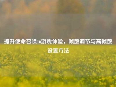 提升使命召唤16游戏体验，帧数调节与高帧数设置方法