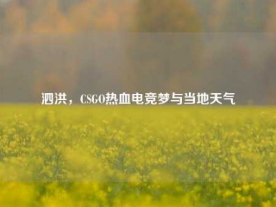 泗洪，CSGO热血电竞梦与当地天气