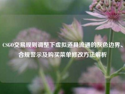 CSGO交易规则调整下虚拟道具流通的灰色边界、合规警示及购买菜单修改方法解析