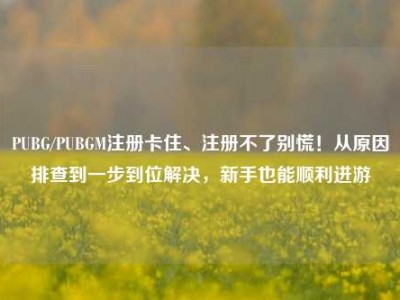 PUBG/PUBGM注册卡住、注册不了别慌！从原因排查到一步到位解决，新手也能顺利进游