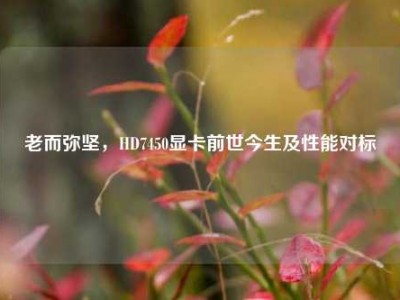 老而弥坚，HD7450显卡前世今生及性能对标