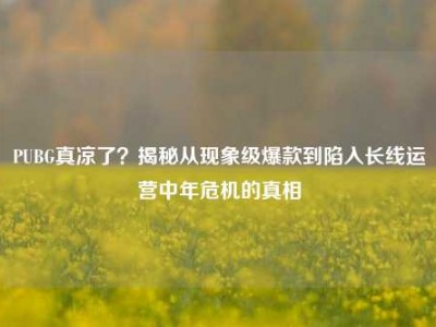 PUBG真凉了？揭秘从现象级爆款到陷入长线运营中年危机的真相