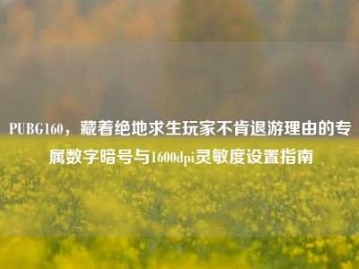 PUBG160，藏着绝地求生玩家不肯退游理由的专属数字暗号与1600dpi灵敏度设置指南