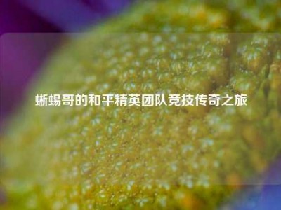 蜥蜴哥的和平精英团队竞技传奇之旅