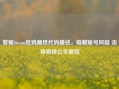 警惕Steam吃鸡属性代码捷径，暗藏账号风险 击穿游戏公平底线