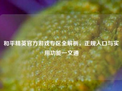 和平精英官方游戏专区全解析，正规入口与实用功能一文通