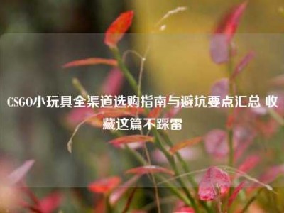 CSGO小玩具全渠道选购指南与避坑要点汇总 收藏这篇不踩雷