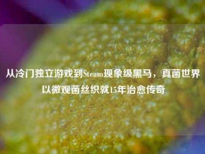 从冷门独立游戏到Steam现象级黑马，真菌世界以微观菌丝织就15年治愈传奇