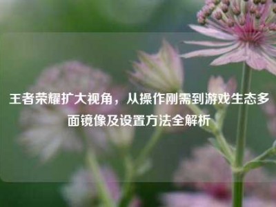 王者荣耀扩大视角，从操作刚需到游戏生态多面镜像及设置方法全解析