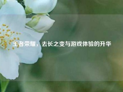 王者荣耀，去长之变与游戏体验的升华