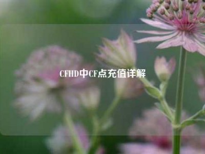 CFHD中CF点充值详解