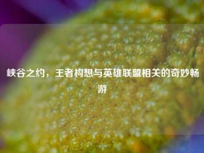 峡谷之约，王者构想与英雄联盟相关的奇妙畅游