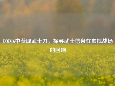 COD16中获取武士刀，探寻武士信条在虚拟战场的回响