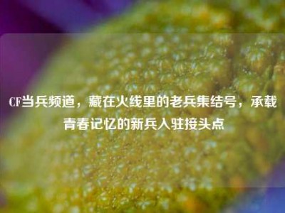 CF当兵频道，藏在火线里的老兵集结号，承载青春记忆的新兵入驻接头点