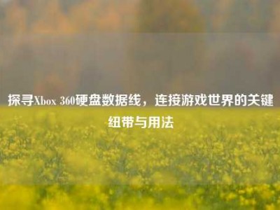 探寻Xbox 360硬盘数据线，连接游戏世界的关键纽带与用法