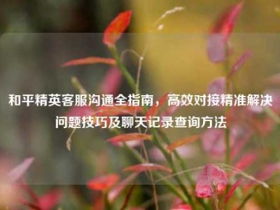 和平精英客服沟通全指南，高效对接精准解决问题技巧及聊天记录查询方法