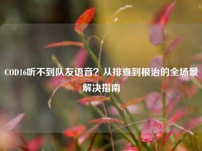 COD16听不到队友语音？从排查到根治的全场景解决指南