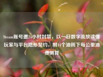 Steam账号遭24小时封禁，以一日数字流放读懂玩家与平台隐形契约，附14个油耗下每公里油费测算