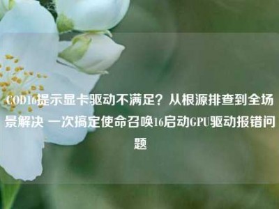 COD16提示显卡驱动不满足？从根源排查到全场景解决 一次搞定使命召唤16启动GPU驱动报错问题