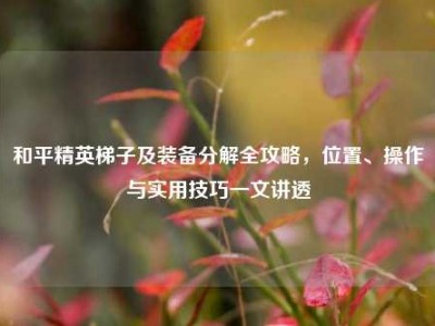 和平精英梯子及装备分解全攻略，位置、操作与实用技巧一文讲透