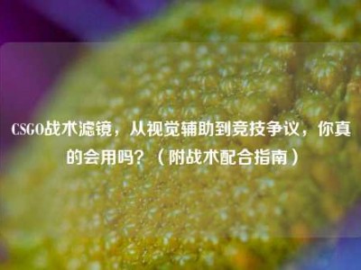 CSGO战术滤镜，从视觉辅助到竞技争议，你真的会用吗？（附战术配合指南）