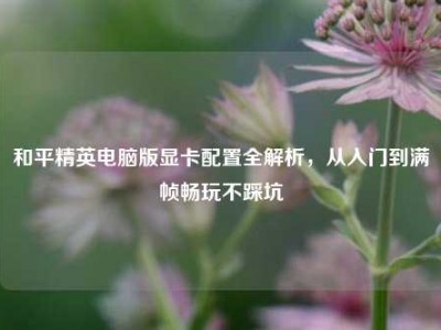 和平精英电脑版显卡配置全解析，从入门到满帧畅玩不踩坑