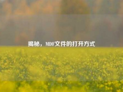 揭秘，MDF文件的打开方式