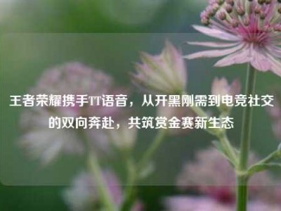 王者荣耀携手TT语音，从开黑刚需到电竞社交的双向奔赴，共筑赏金赛新生态