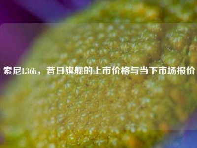 索尼L36h，昔日旗舰的上市价格与当下市场报价