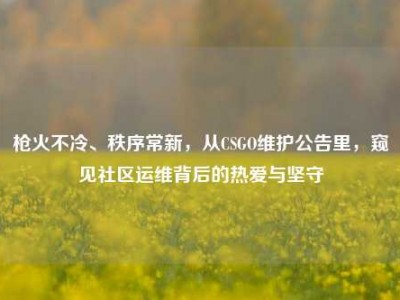 枪火不冷、秩序常新，从CSGO维护公告里，窥见社区运维背后的热爱与坚守