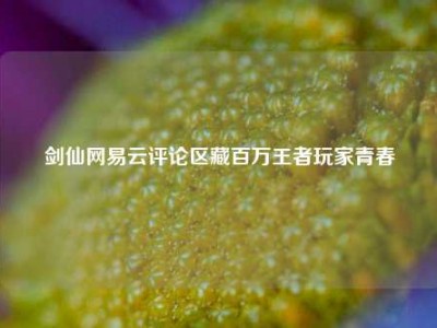 剑仙网易云评论区藏百万王者玩家青春