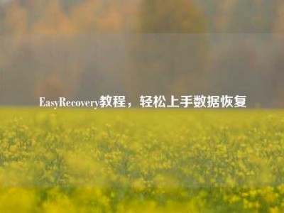 EasyRecovery教程，轻松上手数据恢复