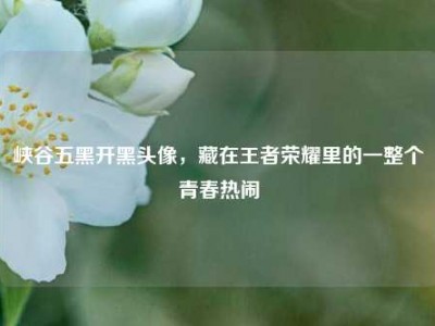 峡谷五黑开黑头像，藏在王者荣耀里的一整个青春热闹